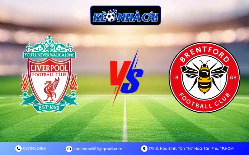 Dự đoán trận Liverpool vs Brentford 24/05 Dự đoán trận Liverpool vs Brentford 24/05